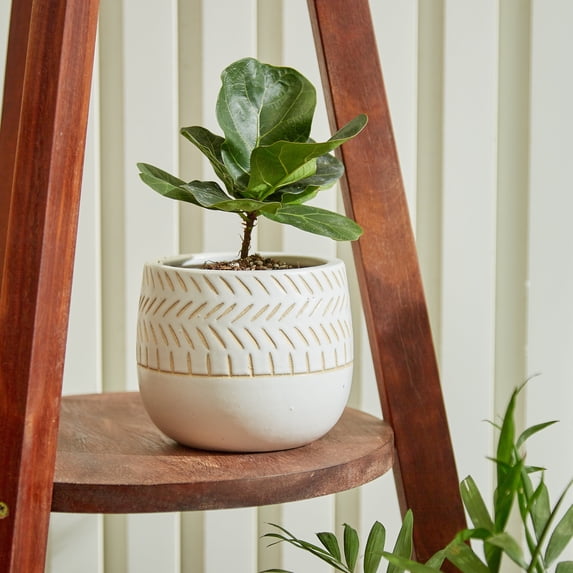 Vitruvian Indoor Ceramic Pot - Small Ceramic Planter, Handmade Ceramic Pot, Balcony Planter, Modern Ceramic Pot, Cactus Plant Pot,