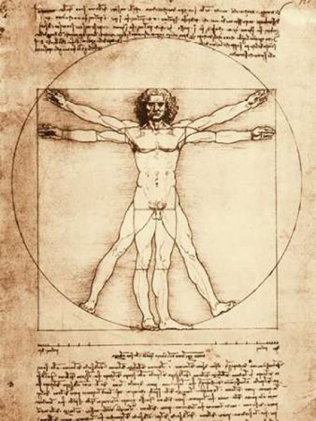 Vitruvian Man Canvas Art - Leonardo da Vinci (22 x 28)
