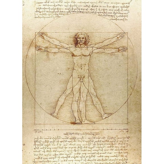 Vitruvian Man Notebook (Paperback)