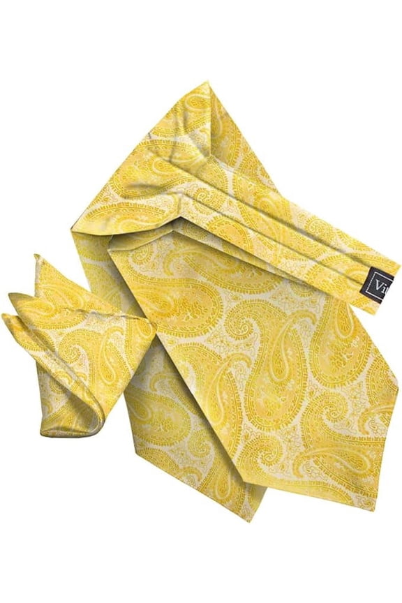 Paisley Tone On Tone Ascot & Pocket Square
