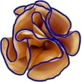 thumbnail image 1 of Vittorio Farina Round Satin Pocket Square with Embroidered Piping, 1 of 208