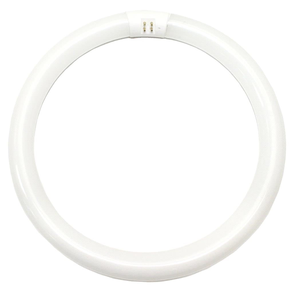 Viva 29163 - FCT9 Circline 32 watt 3000K 29163 Circular T9 Fluorescent Tube Light Bulb
