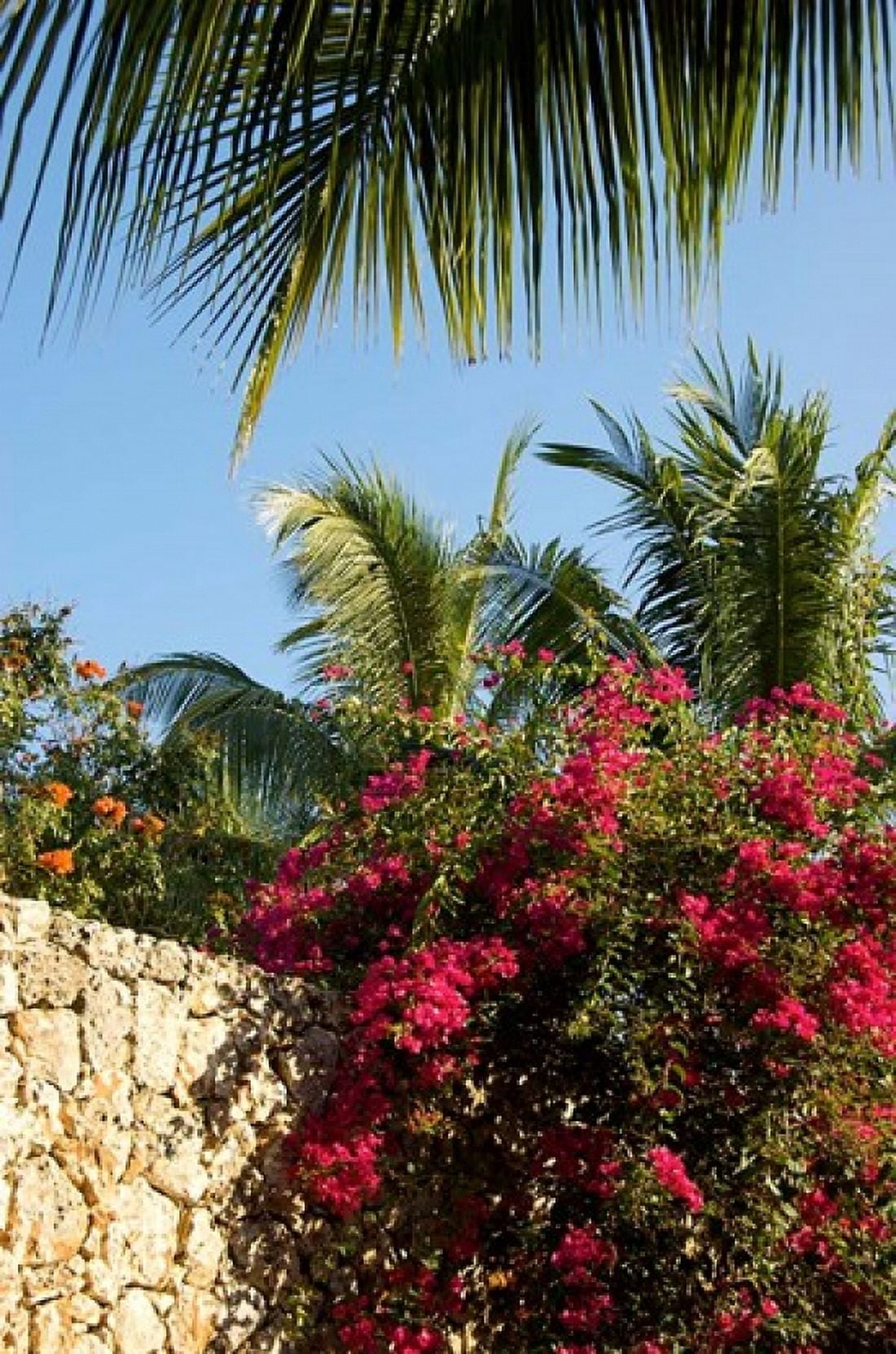 Viva Wyndham Dominicus Beach Bayahibe Dominican Republic Canvas Art - Lisa S Engelbrecht DanitaDelimont (18 x 27)