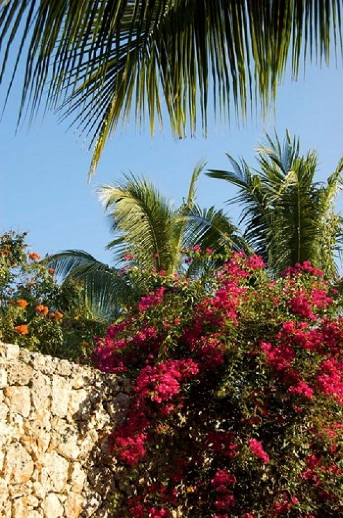 Viva Wyndham Dominicus Beach Bayahibe Dominican Republic Canvas Art - Lisa S Engelbrecht DanitaDelimont (24 x 36)