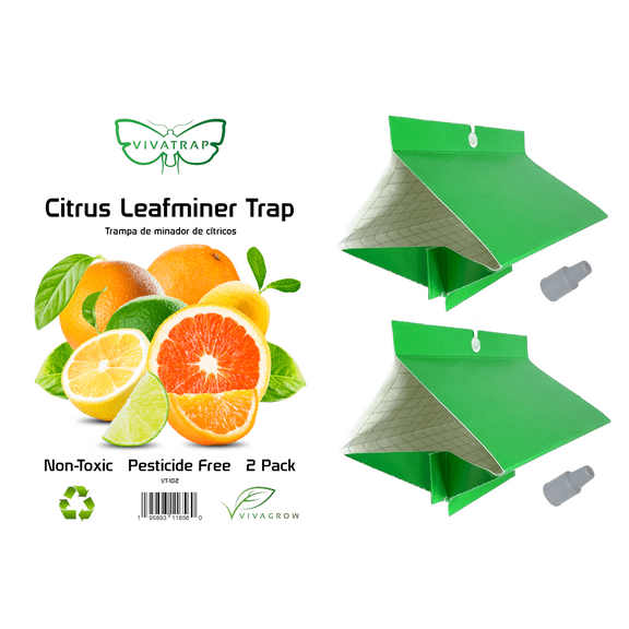 VivaTrap! VT-102 Citrus Leaf Miner Trap & Lure (2 Pack)