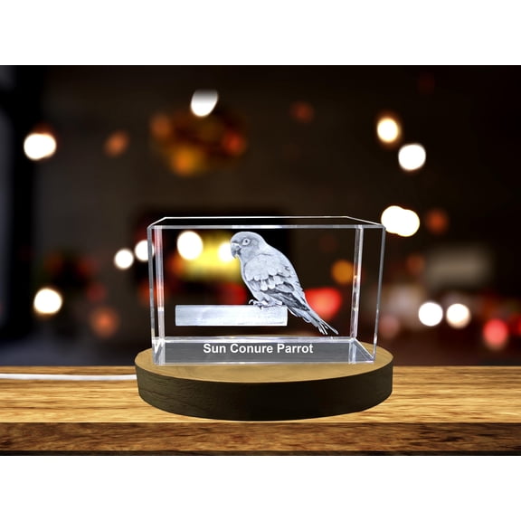 Vivacious Crystal Sun Conure Sculpture - A Splash of Tropical Color A&B Crystal Collection