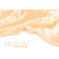 thumbnail image 1 of Vivalon Ultra Soft Korean Mink Blanket Queen Beige, 1 of 2