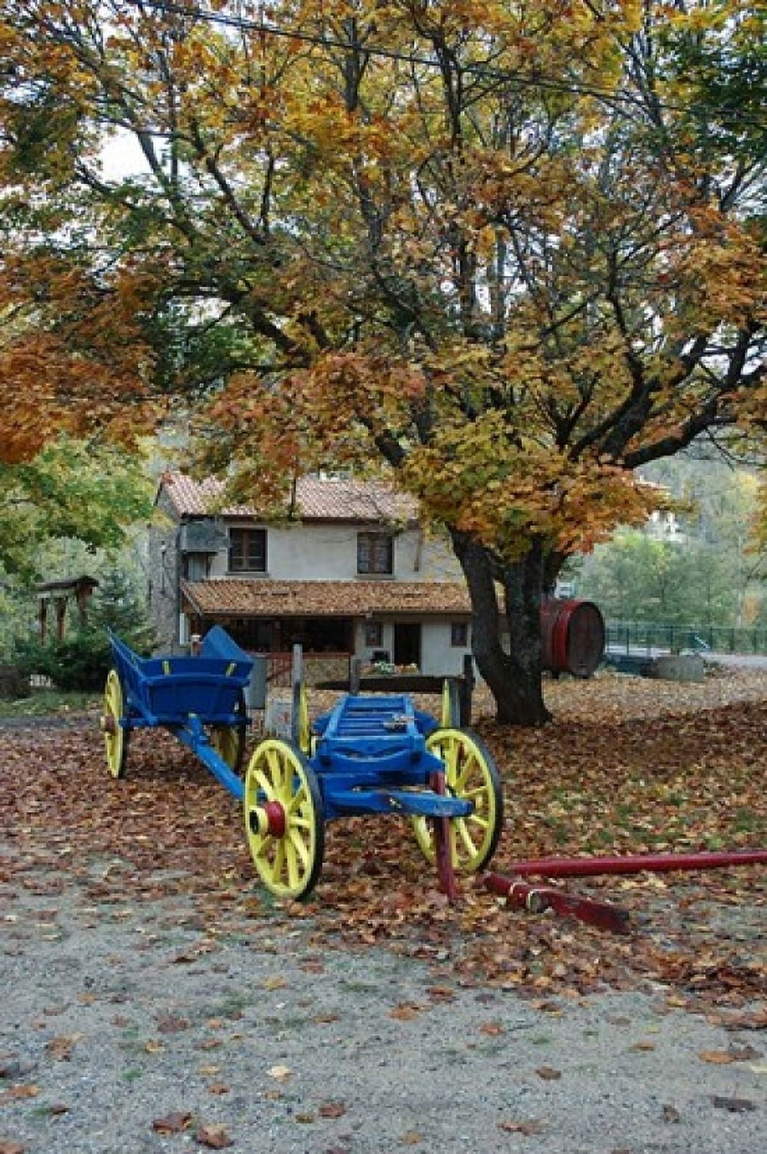 Vivarais Railway Stop and Wagon Canvas Art - Lisa S Engelbrecht DanitaDelimont (24 x 36)