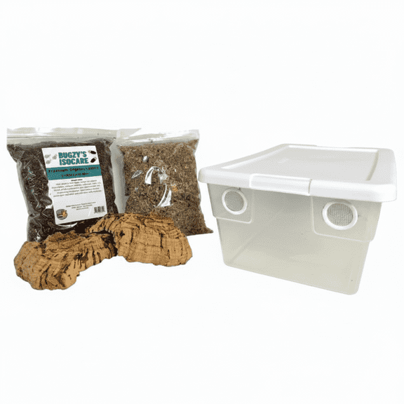 Bugzy Bugs 6-Quart Vivarium Terrarium Kit with Screen Ventilation and Accessories, 13.62 in L x 8.25 in W x 4.88 in H