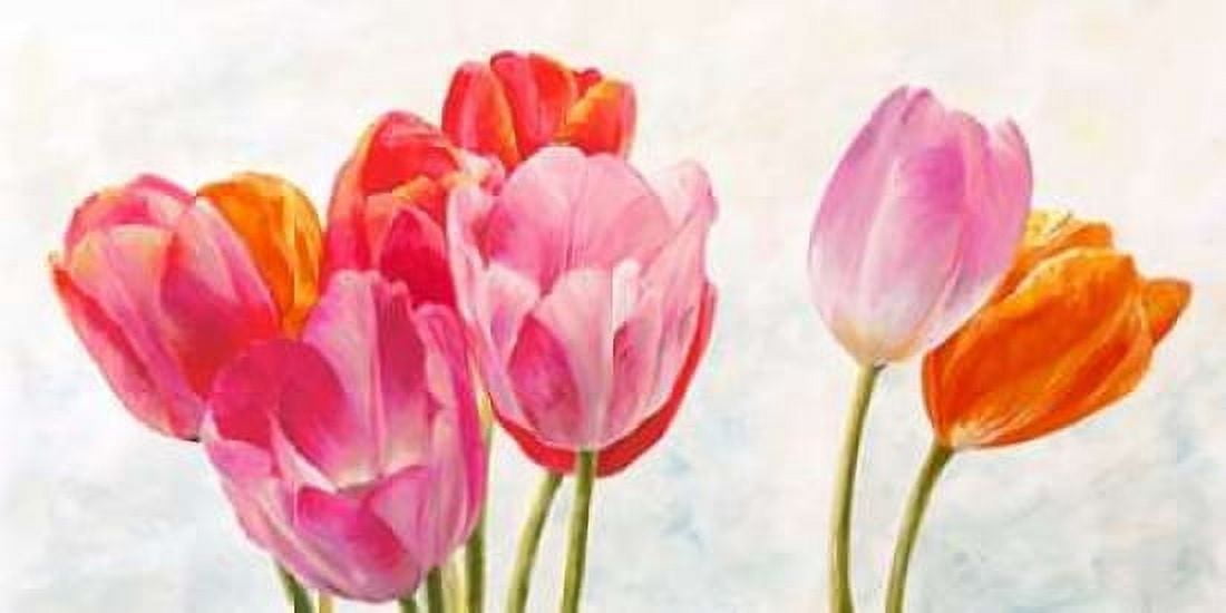 Vive l ete Canvas Art - Cynthia Ann (24 x 48)