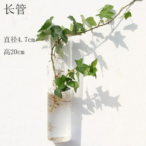 Viveous Wall Hanging Glass Hydroponics Vase Clear Hanging Planter Transparent Glass Flower Vase Clear Wall Mounted Hydroponics Planter Glass Wall Planter