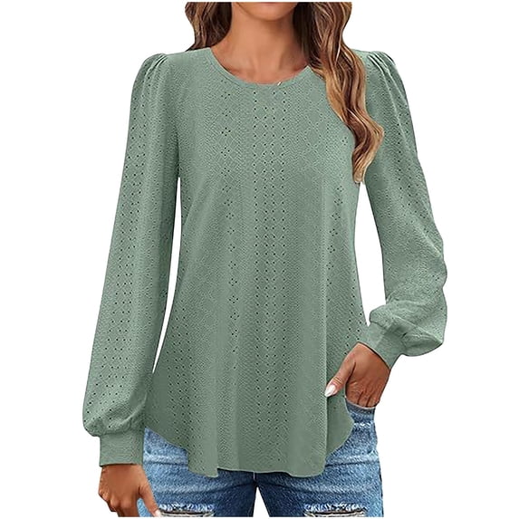 Vivianyo HD Women's Eyelet Embroidery Tunic Top, Round Neck Puff Long Sleeve Blouse for Women, Spring Lightweight Top for Brunch and Market Trips, Sizes S-2XL