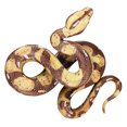 Vivid Fake Snakes Toy Realistic Snake Model Children Toy Halloween ...