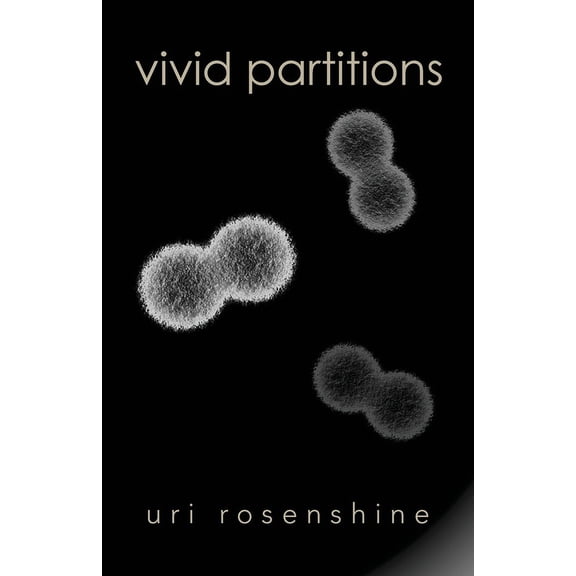 Vivid Partitions (Paperback)