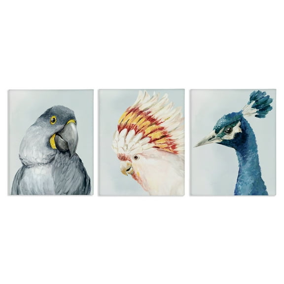 Stupell Industries Vivid Plumage Bird Portraits 3 Piece Canvas Wall Art Set, design by Hannah Dawson, 30 x 24