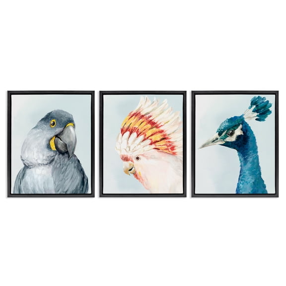 Stupell Industries Vivid Plumage Bird Portraits 3 Piece Black Framed Floater Canvas Set, design by Hannah Dawson, 21 x 17