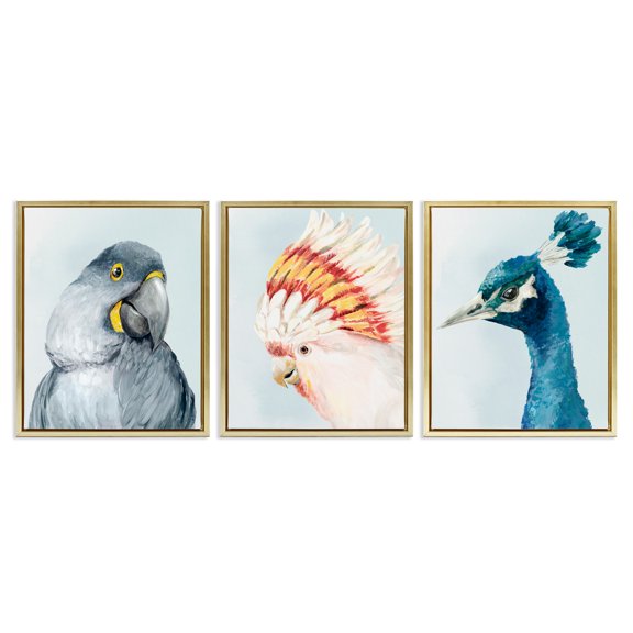 Stupell Industries Vivid Plumage Bird Portraits 3 Piece Gold Framed Floater Canvas Set, design by Hannah Dawson, 31 x 25