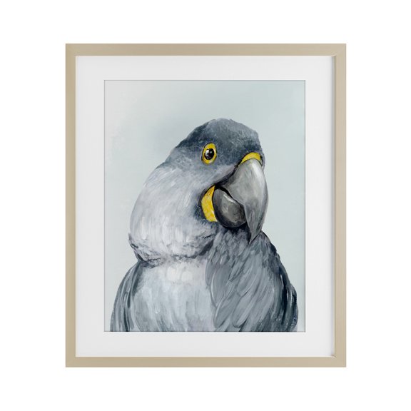 Stupell Industries Vivid Plumage Parrot Birch Framed Print Under Glass, design by Hannah Dawson, 16 x 13