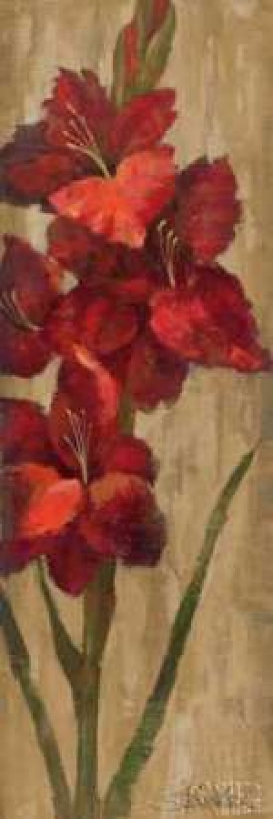 Vivid Red Gladiola on Gold Canvas Art - Silvia Vassileva (12 x 36)
