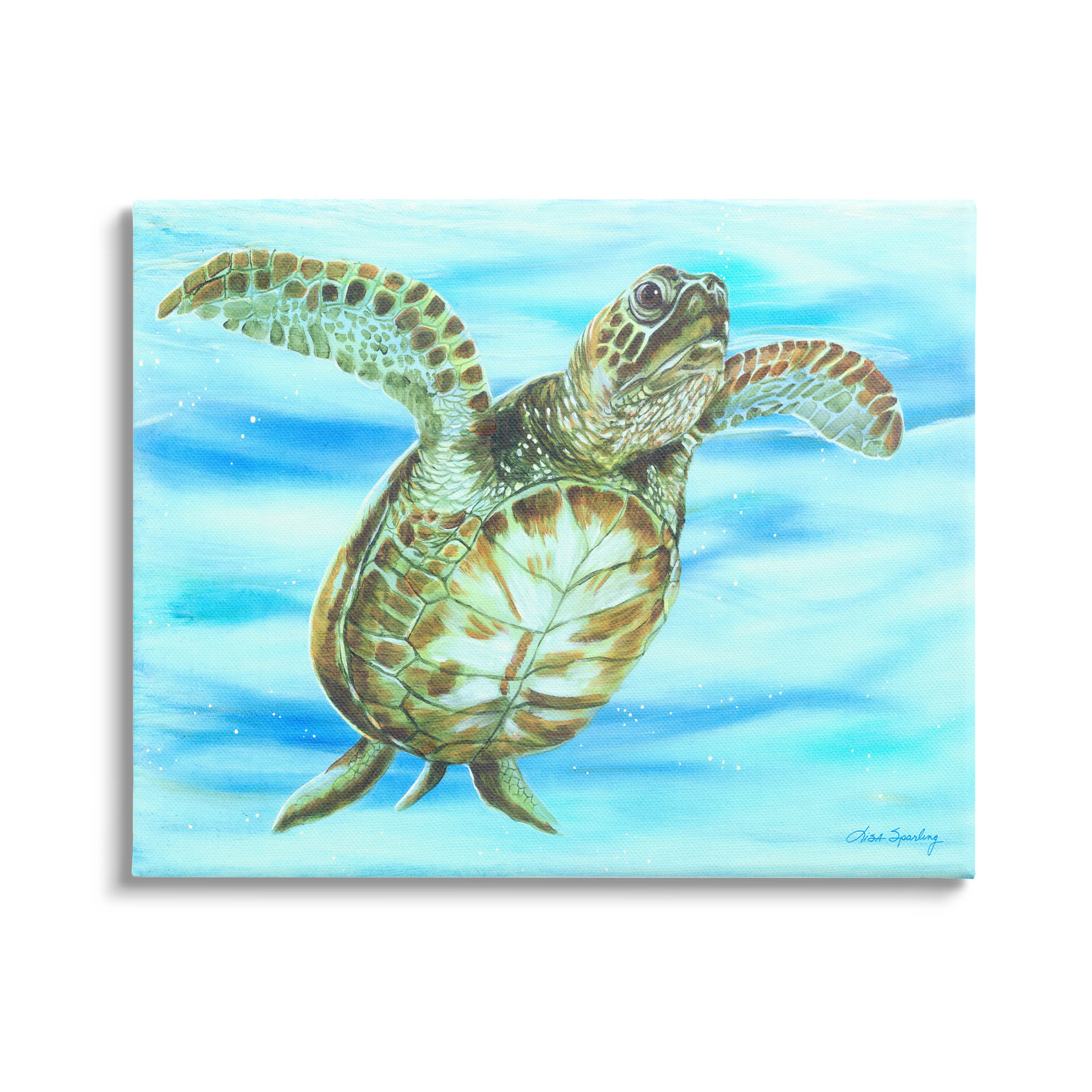 Vivid Underwater Turtle Wildlife Animals & Insects Painting Gallery Wrapped Canvas Print Wall Art