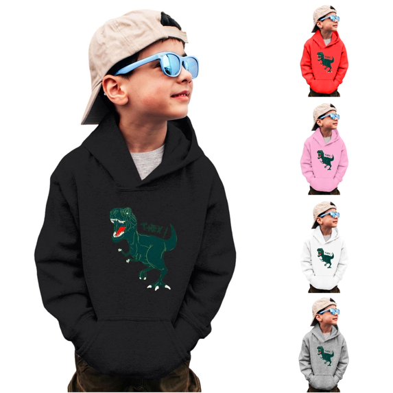 Vividxx Boys Hoodies Dinosaur Print Long Sleeve Hooded Pullover With Pocket Pullover Tops For Fall Winter Daily Wear 3-4 Years