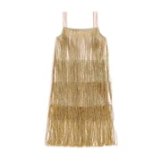 Vividxx Girls Dress Girls Flapper Dress Sequins Fringe Latin Dance Dress Tassel Tango Dress 2-3 Years