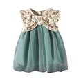 thumbnail image 1 of Vividxx Girls Dresses Baby Girls Spring Tulle Solid Short Sleeve Dress Green Floral Dress Summer Travel Dress Classic, 1 of 8