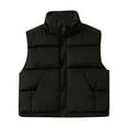 thumbnail image 1 of Vividxx Toddler Girls Jacket Children Stand Vest Boys And Girls Wear Vest Outside Fall Winter Baby Winter Coat Thickened To Wear Horse Clip Outside Coats For Boys And Girls 3-4 Years, 1 of 3