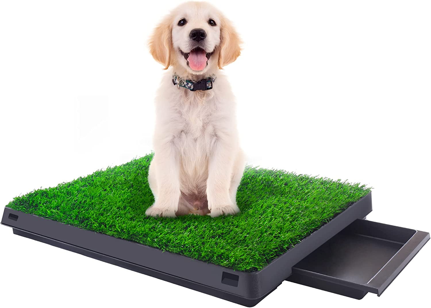 Vivifying Turf Potty Pads for Puppy Dogs Pee Bahrain Ubuy