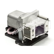Vivitek 5811100235-S Projector Lamp with Module