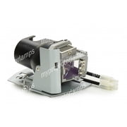 Vivitek D519 Projector Lamp with Module