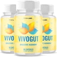 thumbnail image 1 of Vivogut Advanced Gut Support Pills Advanced Energy Vitamin Supplement Vivo Gut 180 Capsules, 1 of 8