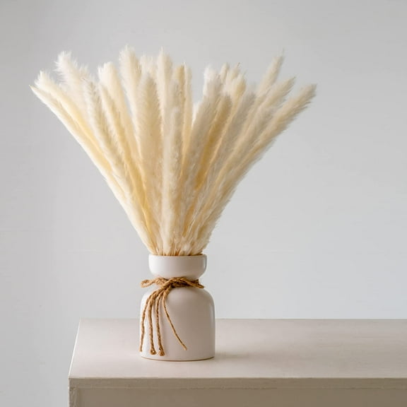 Viworld 30PCS Dried Pampas Grass Plumes 17 Inch Tall Natural Dried Plants Artificial Faux Reed Flower Stems Bunch for Wedding Home Vase Decor, Cream White