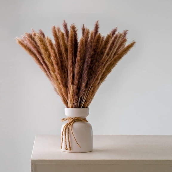 Viworld 30PCS Dried Pampas Grass Plumes 17 Inch Tall Natural Dried Plants Artificial Faux Reed Flower Stems Bunch for Wedding Home Vase Decor, Brown