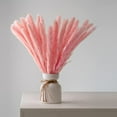 thumbnail image 1 of Viworld 30PCS Dried Pampas Grass Plumes 17 Inch Tall Natural Dried Plants Artificial Faux Reed Flower Stems Bunch for Wedding Home Vase Decor, Pink, 1 of 6