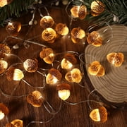 Viworld 3D Twinkle Acorn Fall Decorations Harvest String Lights 10ft Copper Wire 30 LEDs Battery Powered with Timer Remote Control for Wedding Bedroom Fireplace Mantel Ice Age Ornaments Home Decor