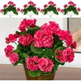 thumbnail image 1 of Viworld 4PCS Artificial Geranium 1 Branch with 5 Flower Heads 14.2inch Long Fake Silk Bouquet, Lifelike, Suitable for Interior Decoration, Porch Garden Decoration (Rose Red), 1 of 9