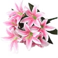 thumbnail image 1 of Viworld Artificial Lily 10 Heads Fake Lily Artificial Flower Wedding Party Decor Bouquet Home Hotel Office Garden Craft Art Decor Pink, 1 of 4