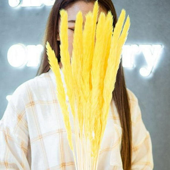 Viworld Dried Pampas Grass -Natural Bouquet ,15Pcs Reed Grass ,Dried Flower Bunch for DIY Home Kitchen Wedding Party Decor