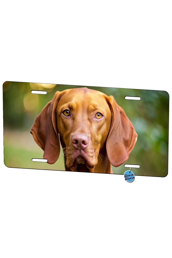 Vizsla Dog Photo Metal Novelty License Plate