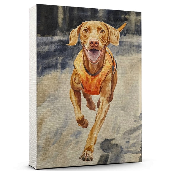 Vizsla Dog Stretched Canvas Size 8x12 – Running Canvas Print of Funny Vizsla Dog Wall Art, Running Sports Wall Decor, Home Decor, Dog Lover