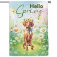 thumbnail image 1 of Vizsla Hello Spring Time Flower Floral Nature House Flag 28x40in Double Sided Vizslas Dog Lover Gifts Idea Outdoor Decor - 02031, 1 of 5