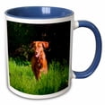 thumbnail image 1 of 3drose, Vizsla Running in Field of Green Grass, Mr., 15oz Two-tone Blue Mug, 1 of 6