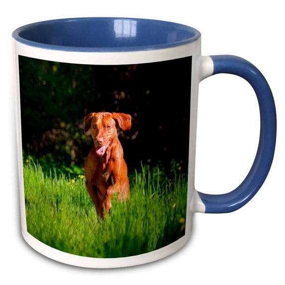3drose, Vizsla Running in Field of Green Grass, Mr., 15oz Two-tone Blue Mug