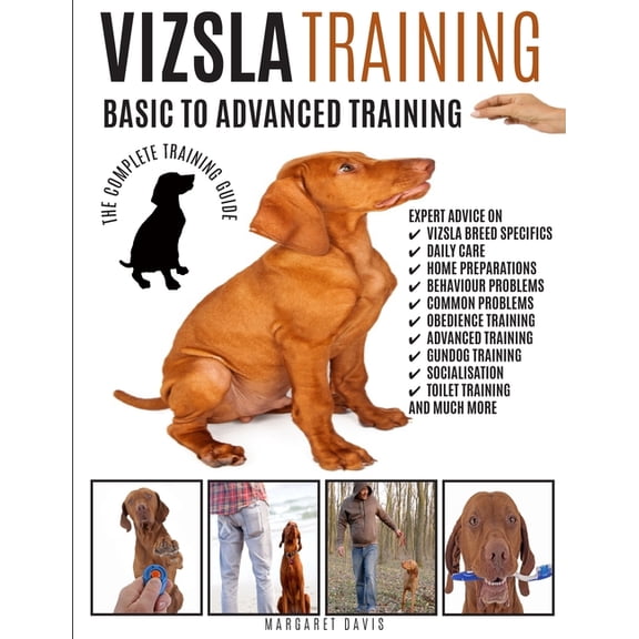 Vizsla Training, (Paperback)