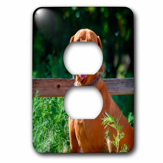 3dRose, Vizsla sitting near a wooden fence, MR, 2 plug outlet cover