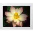 thumbnail image 1 of Vizvary, Susan 14x12 White Modern Wood Framed Museum Art Print Titled - Lotus Flower, 1 of 4