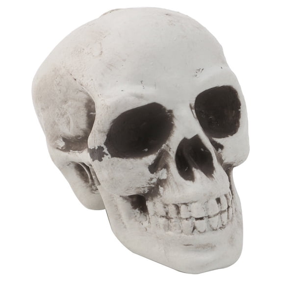 Pub Table Prop Vjnyvs Plastic Skull Decoration Prop, Skeleton Ornament for Bar and ...