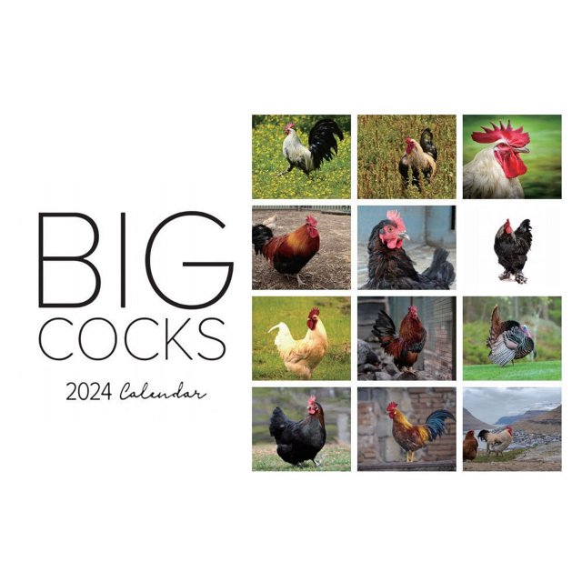 Vntub Deals Clearance Under 5 Advent Calendar 2024 Big Cocks 2024