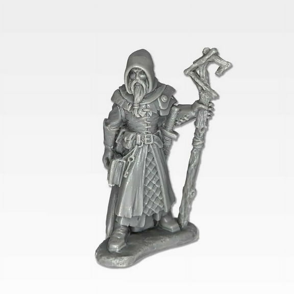 Vodellis Winterhand Wizard Miniature 25mm Heroic Scale Figure Dark Heaven Legends Reaper Miniatures